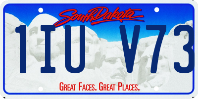 SD license plate 1IUV73