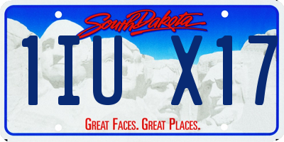 SD license plate 1IUX17