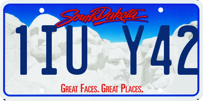 SD license plate 1IUY42