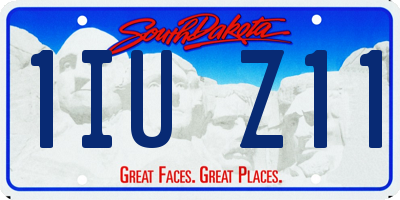 SD license plate 1IUZ11