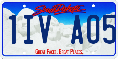 SD license plate 1IVA05