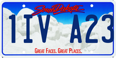 SD license plate 1IVA23