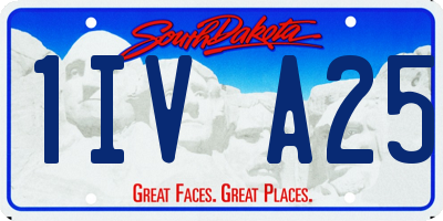 SD license plate 1IVA25
