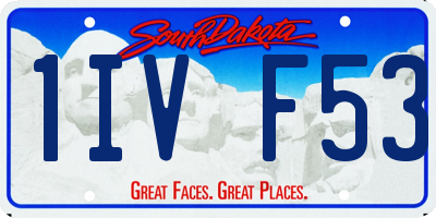 SD license plate 1IVF53