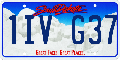 SD license plate 1IVG37