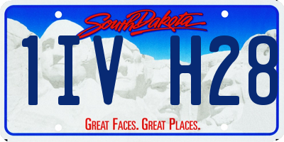 SD license plate 1IVH28