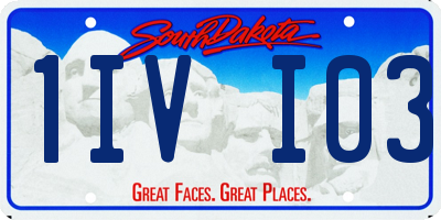 SD license plate 1IVI03