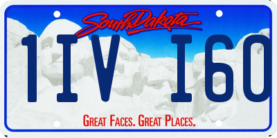 SD license plate 1IVI60