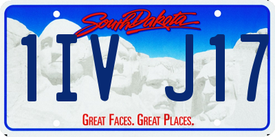 SD license plate 1IVJ17