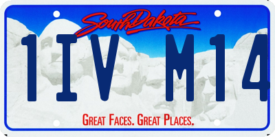 SD license plate 1IVM14