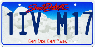 SD license plate 1IVM17