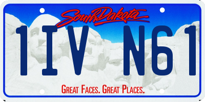 SD license plate 1IVN61