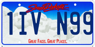 SD license plate 1IVN99