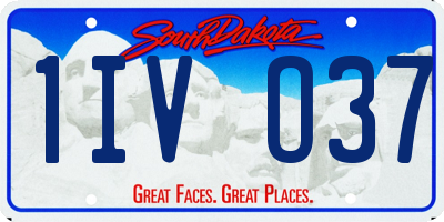 SD license plate 1IVO37