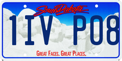 SD license plate 1IVP08
