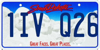 SD license plate 1IVQ26