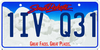 SD license plate 1IVQ31