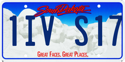 SD license plate 1IVS17