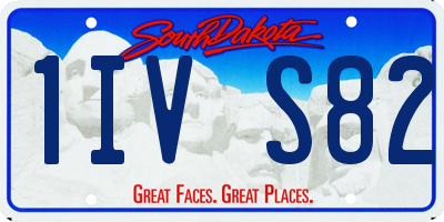 SD license plate 1IVS82