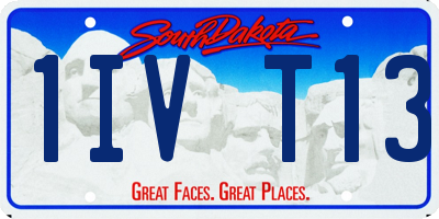 SD license plate 1IVT13