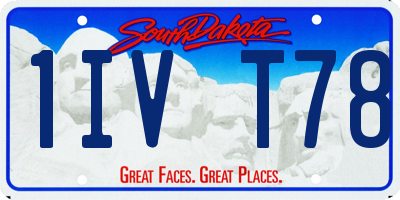 SD license plate 1IVT78
