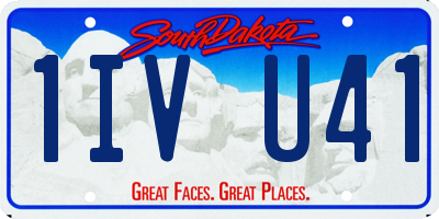 SD license plate 1IVU41