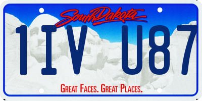SD license plate 1IVU87