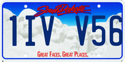 SD license plate 1IVV56