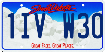 SD license plate 1IVW30