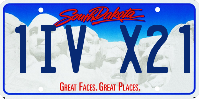 SD license plate 1IVX21