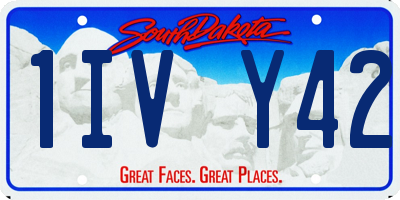 SD license plate 1IVY42