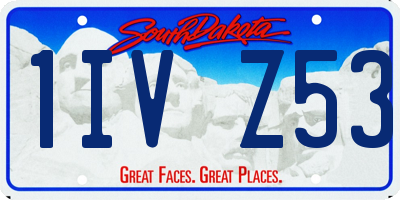 SD license plate 1IVZ53