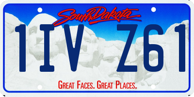 SD license plate 1IVZ61