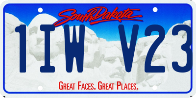 SD license plate 1IWV23