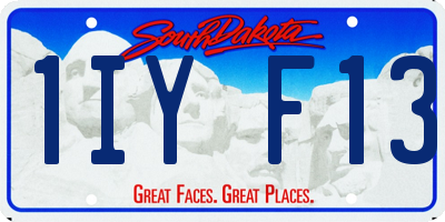 SD license plate 1IYF13