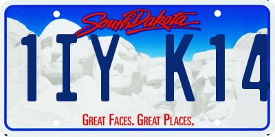 SD license plate 1IYK14