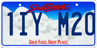 SD license plate 1IYM20