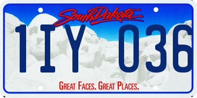 SD license plate 1IYO36