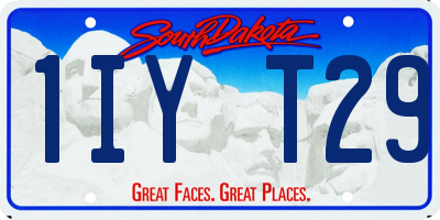 SD license plate 1IYT29