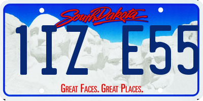 SD license plate 1IZE55