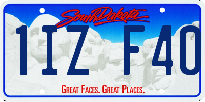 SD license plate 1IZF40