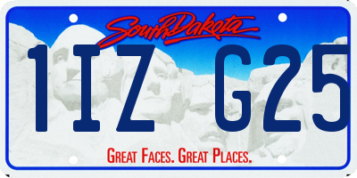 SD license plate 1IZG25