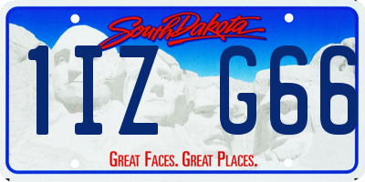 SD license plate 1IZG66