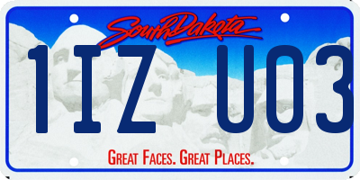 SD license plate 1IZU03