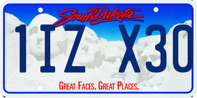 SD license plate 1IZX30