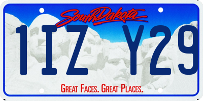 SD license plate 1IZY29