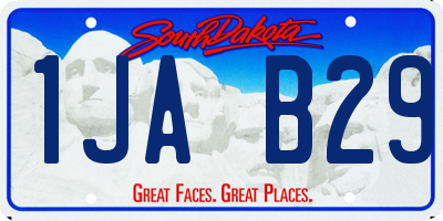 SD license plate 1JAB29