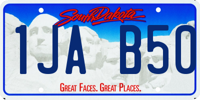 SD license plate 1JAB50