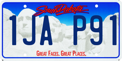 SD license plate 1JAP91