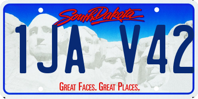SD license plate 1JAV42